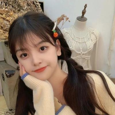 联邦调查局第二季